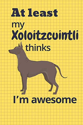 At Least My Xoloitzcuintli Thinks I?M Awesome: For Xoloitzcuintli Dog Fans