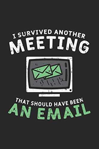 I Survived Another Meeting That Should Have Been An E-Mail: 120 Pages I 6X9 I Karo