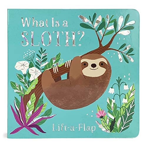 What Is A Sloth? (Chunky Lift-A-Flap Board Book)