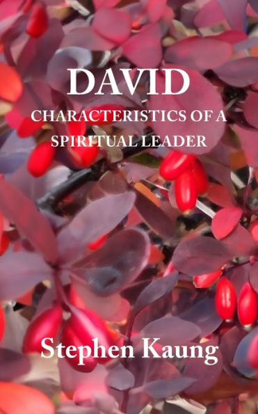 David: Characteristics Of A Spiritual Leader