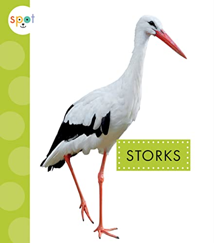 Storks (Spot Big Birds)