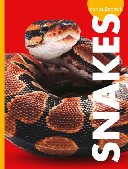 Curious About Snakes (Curious About Pets)