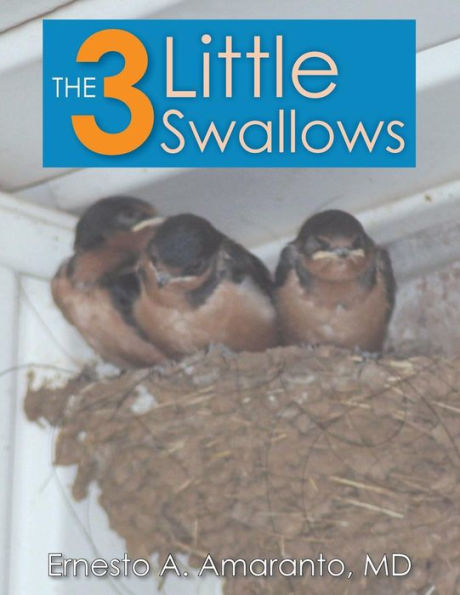 The 3 Little Swallows - 9781682565834