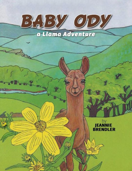 Baby Ody: A Llama Adventure - 9781682569900
