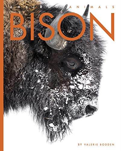 Bison (Amazing Animals)