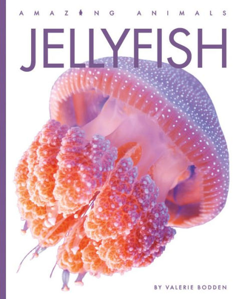 Jellyfish (Amazing Animals) - 9781682771211