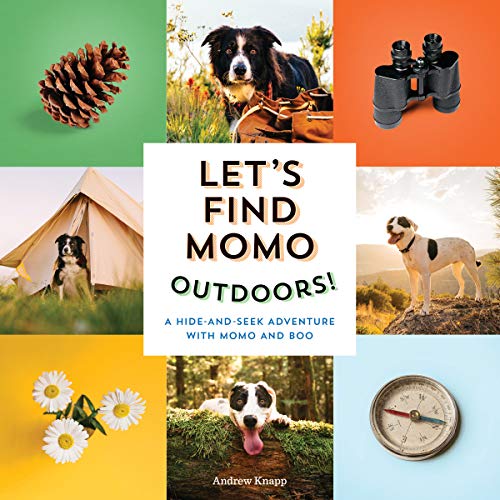 Let's Find Momo Outdoors!: A Hide-And-Seek Adventure With Momo And Boo