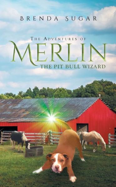 The Adventures Of Merlin The Pit Bull Wizard