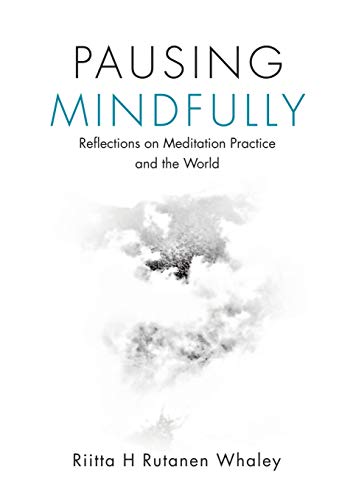 Pausing Mindfully: Reflections on Meditation Practice and the World