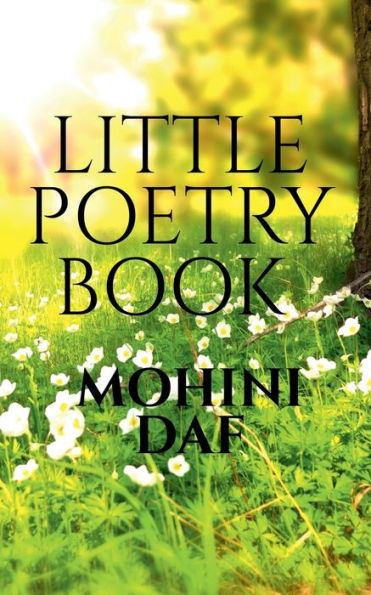 Little Poetry Book