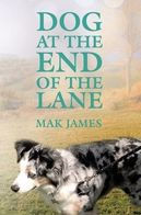 Dog At The End Of The Lane