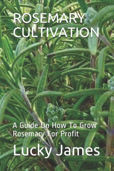 Rosemary Cultivation : A Guide On How To Grow Rosemary For Profit