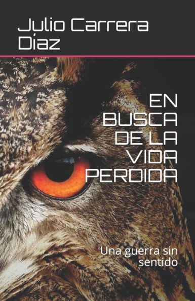 EN BUSCA DE LA VIDA PERDIDA: Una guerra sin sentido (Spanish Edition)