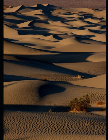 Death Valley Sand Dunes at Sunset