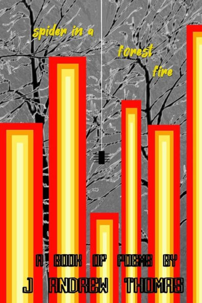 Spider In A Forest Fire
