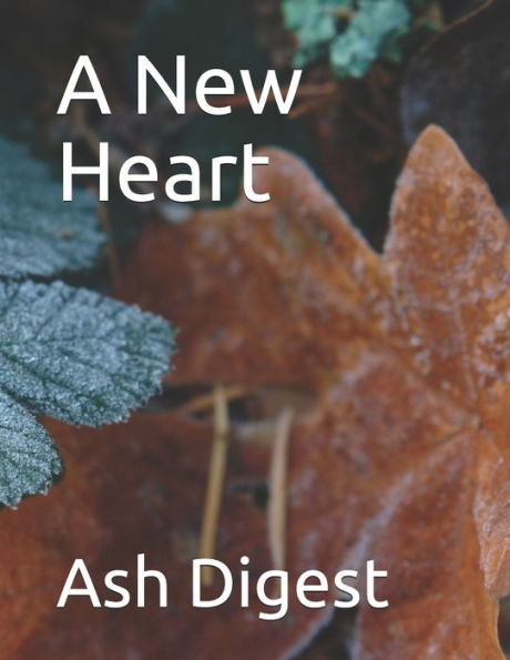 A New Heart - 9781688301177