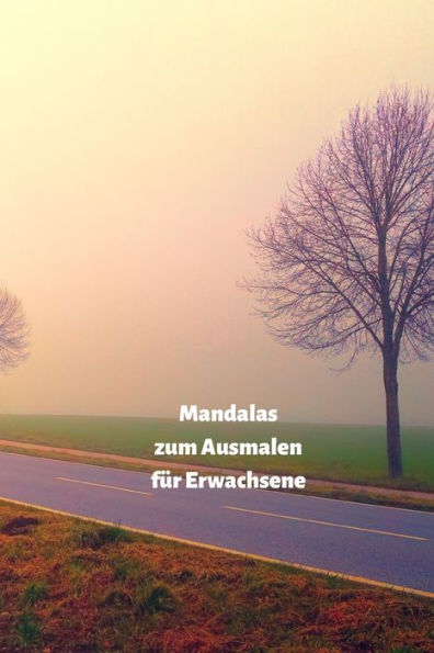 Mandalas Zum Ausmalen F?r Erwachsene : Senken Sie Ihren Stresspegel Durch Das Malen - 9781689000543
