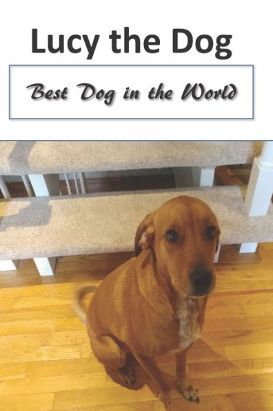 Lucy The Dog