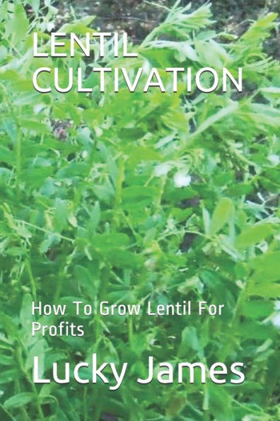 Lentil Cultivation : How To Grow Lentil For Profits