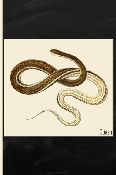 Snake : Queen Watercolor: 6X9 College Ruled Notebook