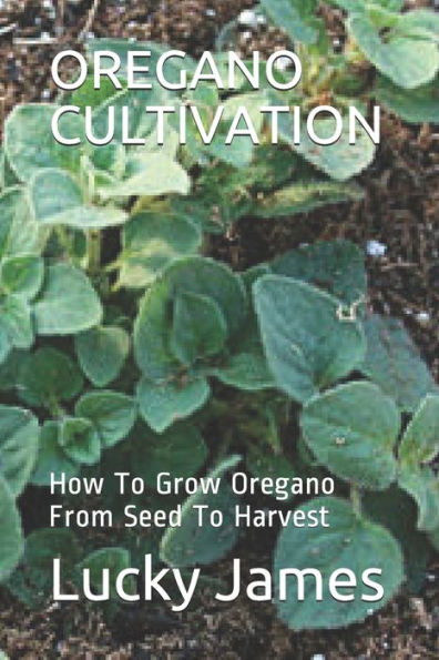 Oregano Cultivation : How To Grow Oregano From Seed To Harvest