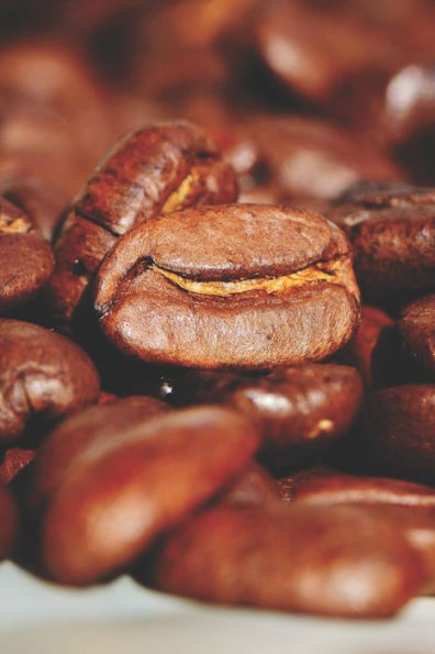 Kaffee Tasting Buch: Dein persönliches Verkostungsbuch zum selber ausfüllen ? für über 100 verschiedene Kaffeesorten ? Egal ob aus europäischen, ... Format ? Motiv: Kaffeebohne (German Edition)