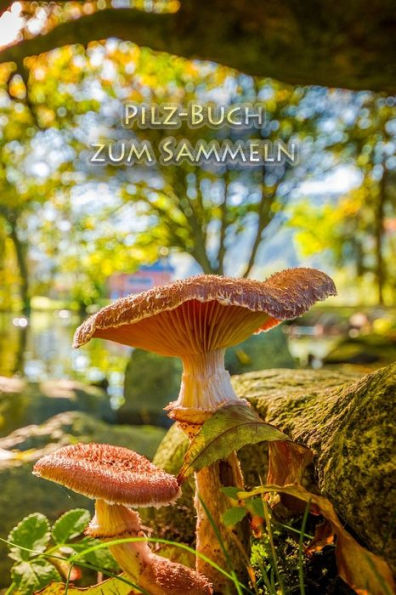 Pilz-Buch Zum Sammeln : Schwammerl Und Pilze - Das Buch Für Echte Naturfreunde Und Pilzsammler