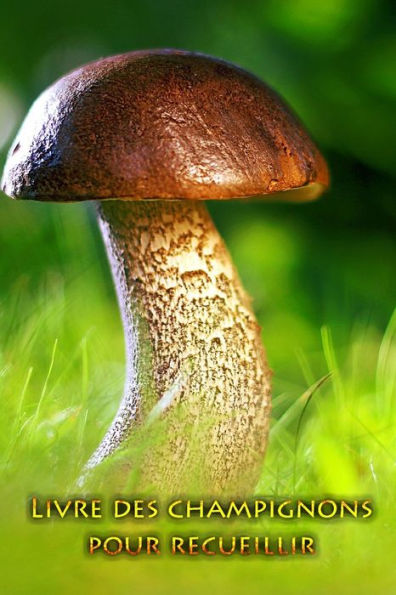 Livre Des Champignons Pour Recueillir : Tenez Vos Plus Beaux Champignons Pour L'Éternité