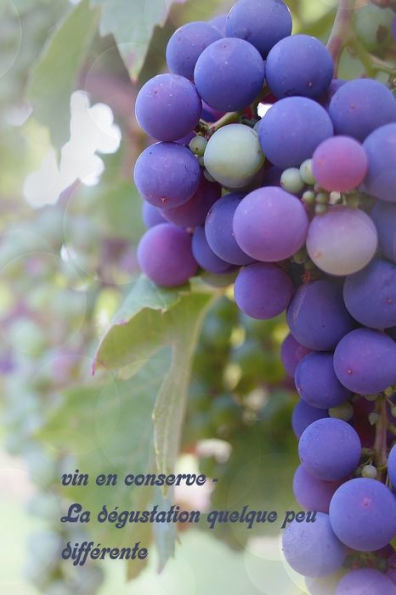 Vin En Conserve - La Dégustation Quelque Peu Différente : Un Livre Sur Le Vin À Écrire Soi-Même