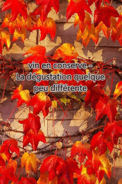 Vin En Conserve - La Dégustation Quelque Peu Différente : Cadeau Pour Les Connaisseurs De Vin