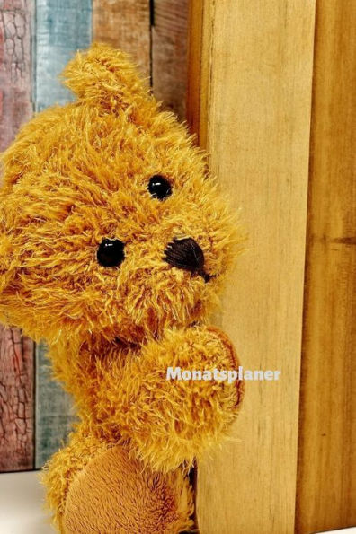 Monatsplaner : F?r Familien, Singles Und Selbstst?ndige - 9781694834690