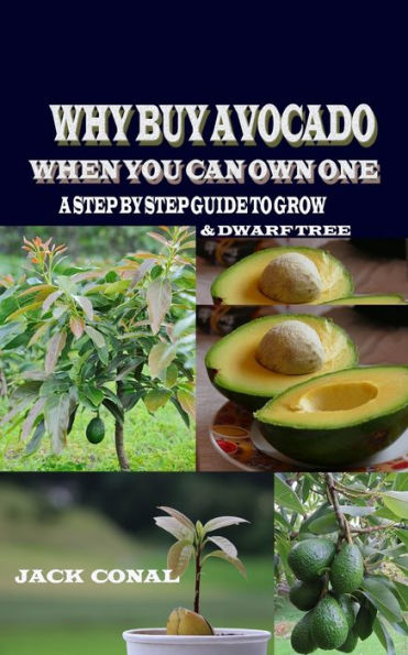 Why Buy Avocado When You Can Own One : A Step By Step Guide To Grow & Dwarf Tree
