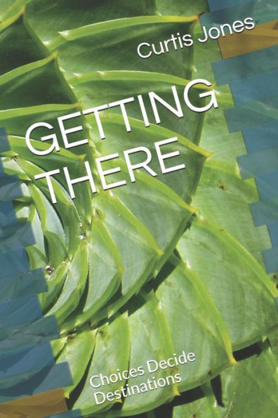 GETTING THERE: Choices Decide Destinations