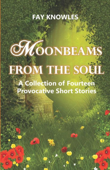 Moonbeams From The Soul : A Collection Of Fourteen Provocative Short Stories