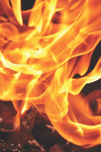 Mein Grillbuch : ? Deine Eigenen Grillrezepte Auf Einen Blick ? Vorausgefülltes Grillprotokoll Für Deine Eigenen Rezepte Und Fleisch-Kreationen ? Grillen Wie Echte Männer ? 6X9 Format ? Motiv: Flamme