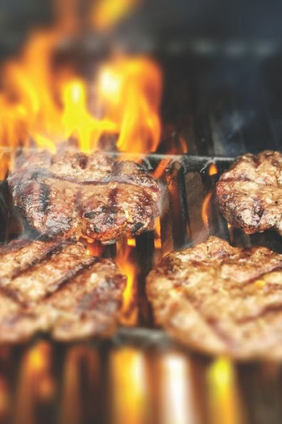 Mein Grillbuch : ? Deine Eigenen Grillrezepte Auf Einen Blick ? Vorausgefülltes Grillprotokoll Für Deine Eigenen Rezepte Und Fleisch-Kreationen ? Grillen Wie Echte Männer ? 6X9 Format ? Motiv: Grillrost
