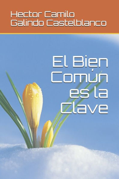 El Bien Com?n es la Clave (Spanish Edition)