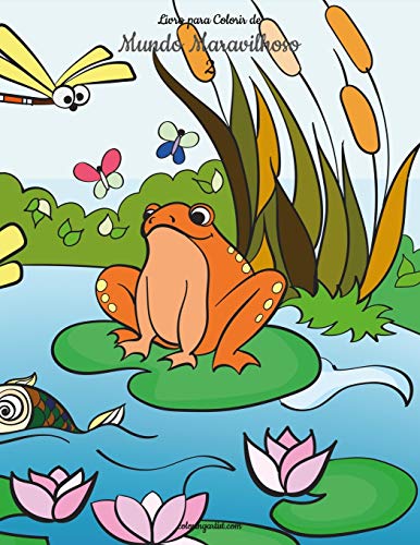 Livro para Colorir de Mundo Maravilhoso 2 (Portuguese Edition)