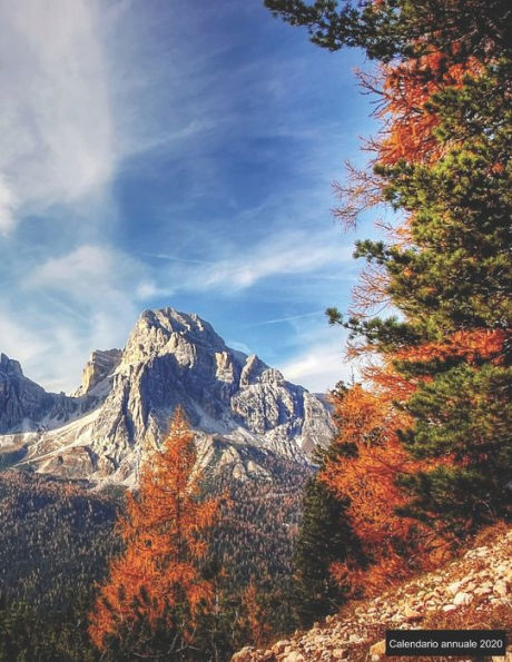 Calendario annuale 2020: ? Manuale dell'organizzatore pratico per il 2020 ? Anteprima di 12 mesi ? 52 pianificatore settimanale con compiti e obiettivi ? formato A4+ ? motif: Berge (Italian Edition)