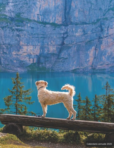 Calendario annuale 2020: ? Manuale dell'organizzatore pratico per il 2020 ? Anteprima di 12 mesi ? 52 pianificatore settimanale con compiti e ... ? motif: Bergsee mit Hund (Italian Edition) - 9781698809427