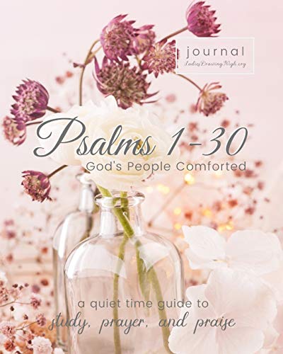 Psalms 1-30: God's People Comforted