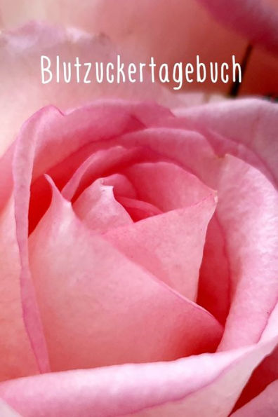 Blutzuckertagebuch: Blutzuckerpass zum t?glichen Erfassen des Blutzuckers | FUr Diabetiker | Format 6 x 9 Zoll | Blutzuckerspiegel im Uberblick | Zeilen fUr 1377 Eintragungen (German Edition)