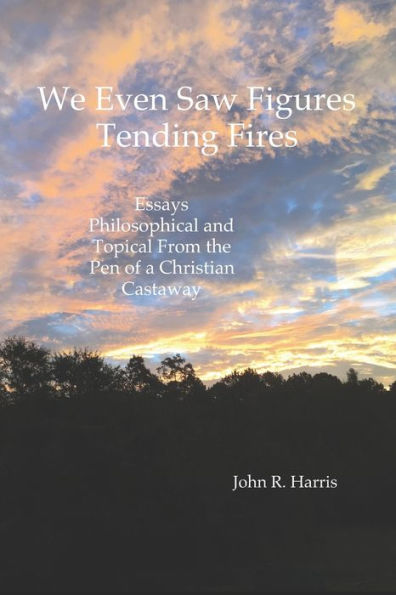 We Even Saw Figures Tending Fires : Essays Philosophical And Topical From The Pen Of A Christian Castaway