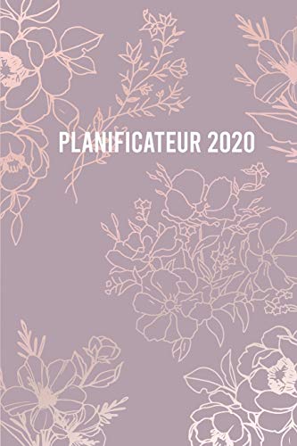 Planificateur 2020 (French Edition)