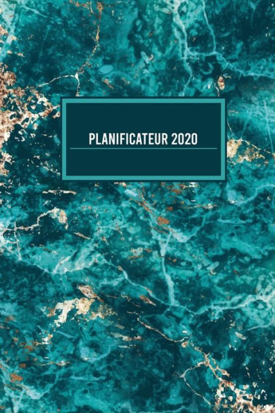 Planificateur 2020 - 9781700169112