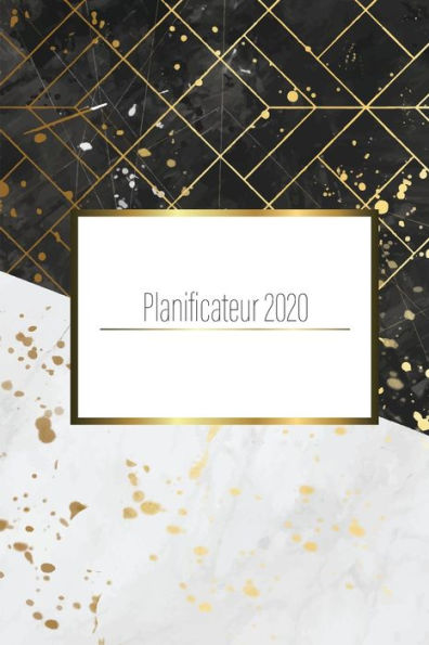 Planificateur 2020 - 9781700173201