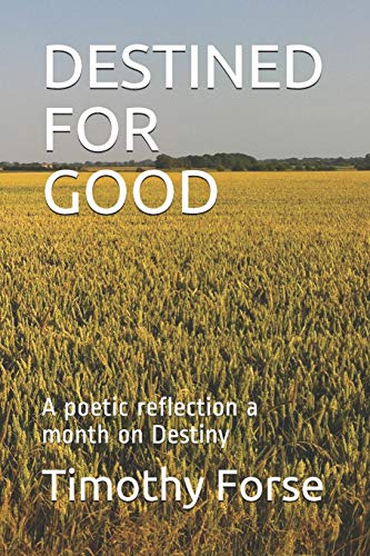 DESTINED FOR GOOD: A poetic reflection a month on Destiny