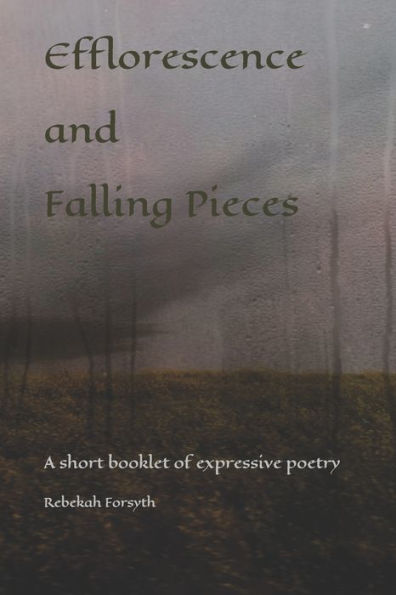Efflorescence and Falling Pieces: A short booklet of expressive and storytelling poetry