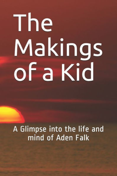 The Makings Of A Kid : A Glimpse Into The Life And Mind Of Aden Falk