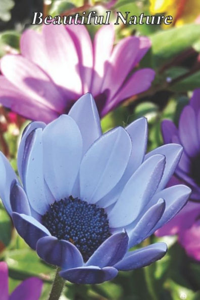 Beautiful Nature: For School and Notes, Gifts, 6" x 9" 120 Pages Checkered